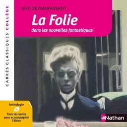 La folie dans les nouvelles fantastiques