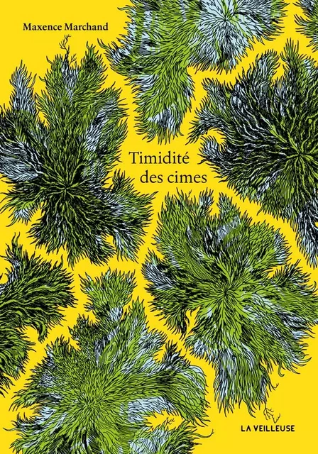 Timidité des cimes - Maxence Marchand - LA VEILLEUSE