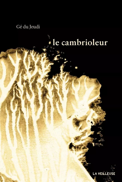 Le cambrioleur -  Gé du jeudi - LA VEILLEUSE