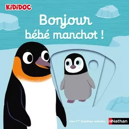 Bonjour bébé manchot !