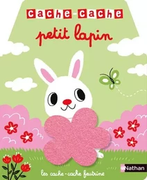 Cache cache petit lapin