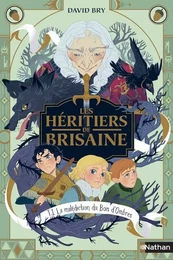 Les Héritiers de Brisaine - Tome 1 La Malédiction du bois d'ombres