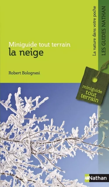 La neige - Robert Bolognesi - Nathan