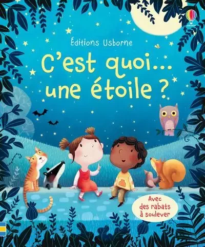 C'est quoi... une étoile ? - Katie Daynes - Usborne publishing ltd