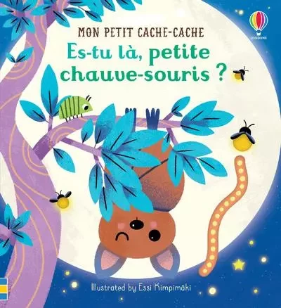 Es-tu là, petite chauve-souris ? - Mon petit cache-cache - Sam Taplin - Usborne publishing ltd