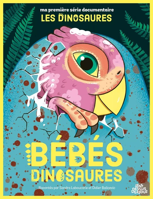 Bébés dinosaures - Sandra Laboucarie - DESSUS DESSOUS