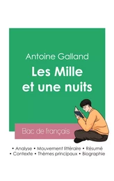 Réussir son Bac de français 2023 : Analyse des Mille et une nuits de Antoine Galland