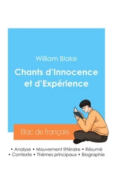 Réussir son Bac de français 2024 : Analyse du recueil Chants d'Innocence et d'Expérience de William Blake