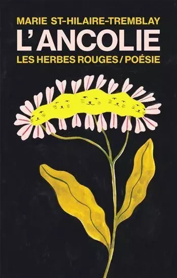 L'ANCOLIE -  ST-HILAIRE-TREMBLAY - HERBES ROUGES