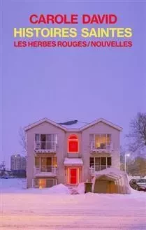 HISTOIRES SAINTES 3E ED. -  DAVID CAROLE - HERBES ROUGES