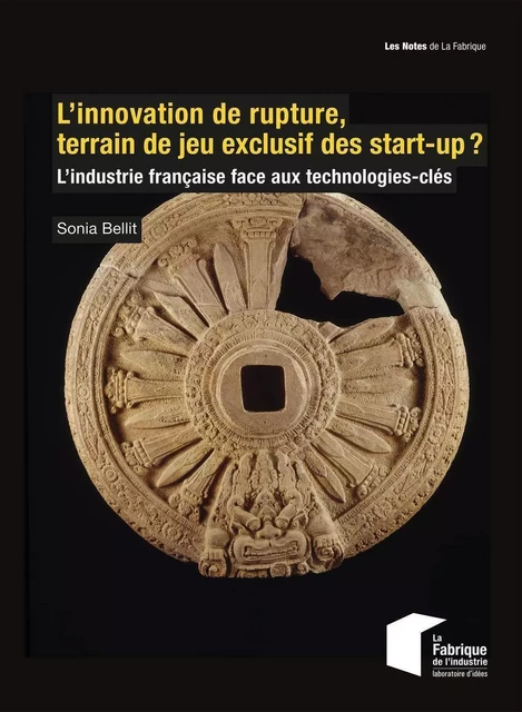 L'innovation de rupture, terrain de jeu exclusif des start-up ? - Sonia Bellit, Vincent Charlet - ECOLE DES MINES