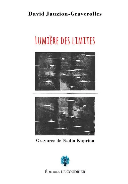 Lumière des limites - David Jauzion-Graverolles - LE COUDRIER