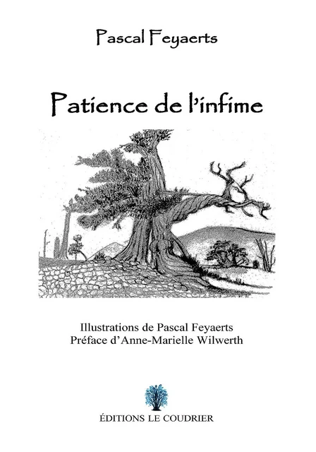 Patience de l’infime - Pascal Feyaerts - LE COUDRIER