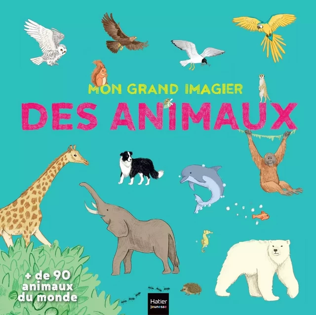 Mon grand imagier des animaux - Stéphanie Rubini - HATIER JEUNESSE