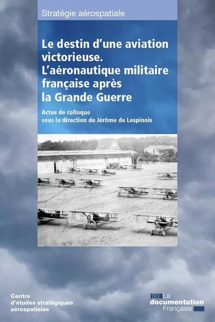 Le destin d'une aviation victorieuse -  Centre D'Études Stratégiques Aérospatiales - DOC FRANCAISE