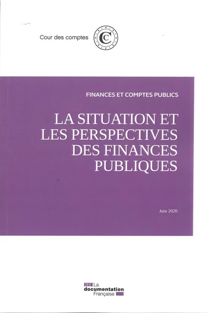 La situation et les perspectives des finances publiques - Juin 2010 -  Cour Des Comptes - DOC FRANCAISE