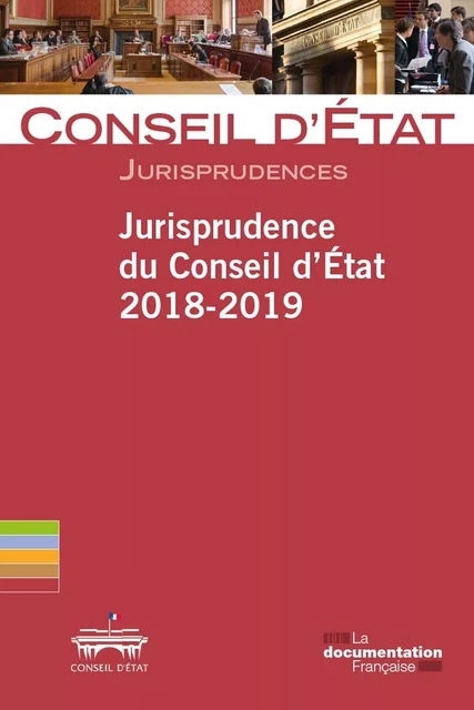 Jurisprudence du conseil d'État 2018-2019 -  Conseil D Etat - DOC FRANCAISE