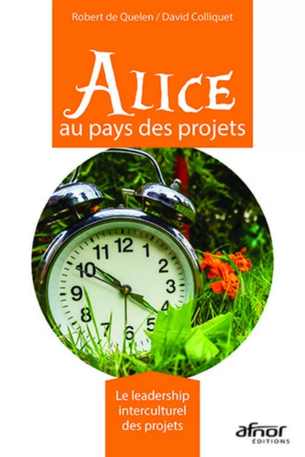 Alice au pays des projets - Robert de Quelen, David Colliquet - AFNOR