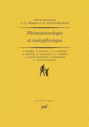 Phénoménologie et métaphysique