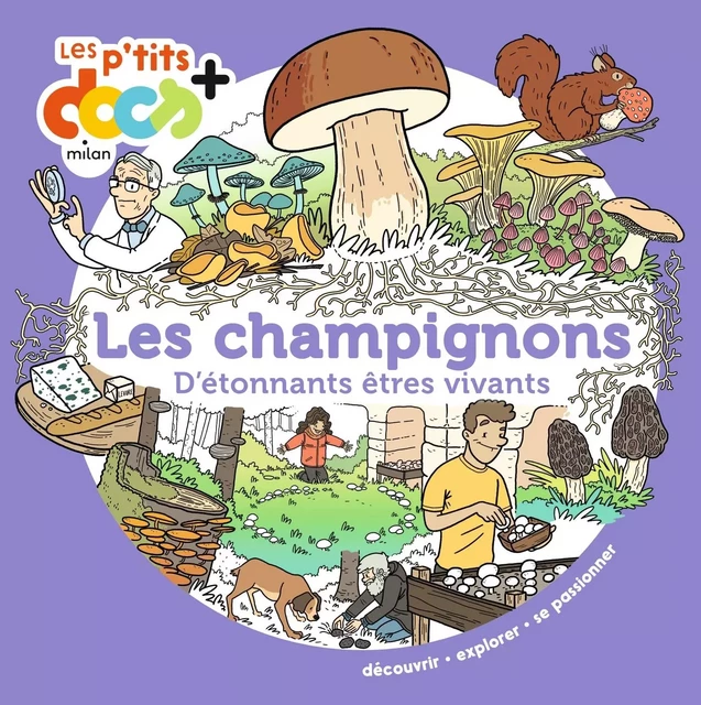 Les champignons - Stéphanie Ledu - MILAN