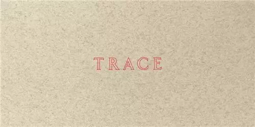 Jenny Holzer: Trace /anglais -  HOLZER JENNY - GUGGENHEIM