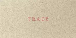 Jenny Holzer: Trace /anglais