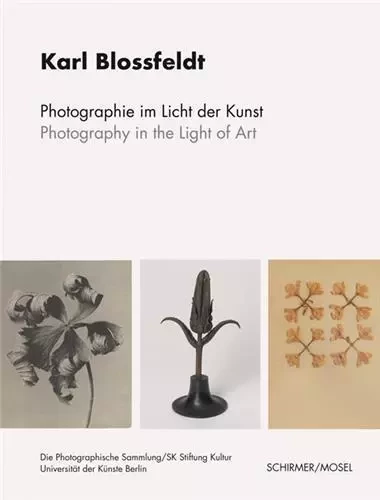 Karl Blossfeldt Photography in the Light of Art /anglais/allemand -  BLOSSFELDT KARL - SCHIRMER MOSEL