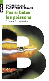 Pas si bêtes les poissons