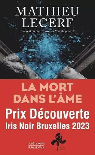 La Mort dans l'âme - Mathieu Lecerf - Groupe Robert Laffont