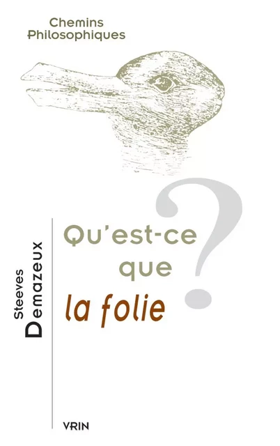 Qu'est-ce que la folie? - Steeves Demazeux - Librairie Philosophique J. Vrin