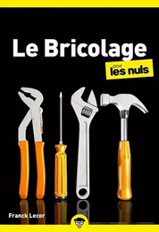 Le bricolage pour les Nuls, poche, 4e éd