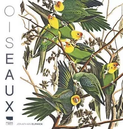 Oiseaux Oiseaux