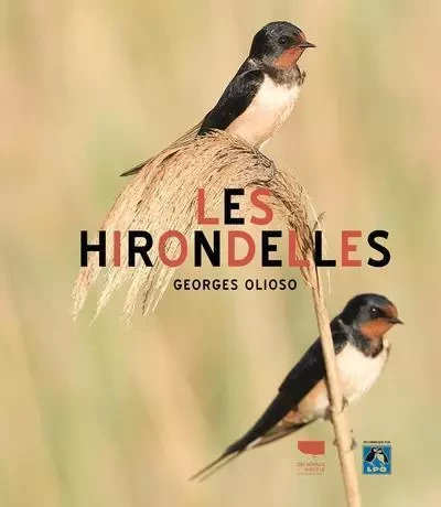 Oiseaux Les Hirondelles - Georges Olioso - DELACHAUX ET NIESTLE EDITIONS