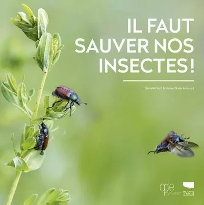 Insectes et autres invertébrés Il faut sauver nos insectes - Denis Richard - DELACHAUX ET NIESTLE EDITIONS