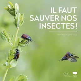 Insectes et autres invertébrés Il faut sauver nos insectes