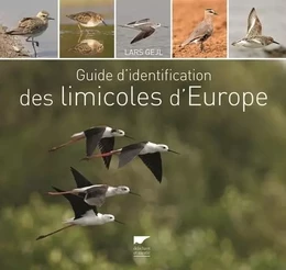 Oiseaux Guide d'identification des limicoles d'Europe