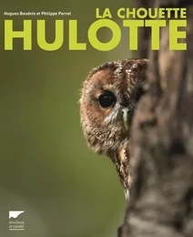 Oiseaux La Chouette hulotte