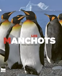 Oiseaux Les Manchots