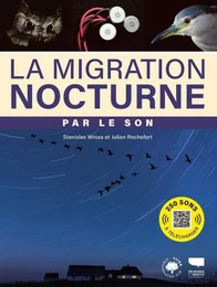 Oiseaux la migration nocturne par le son