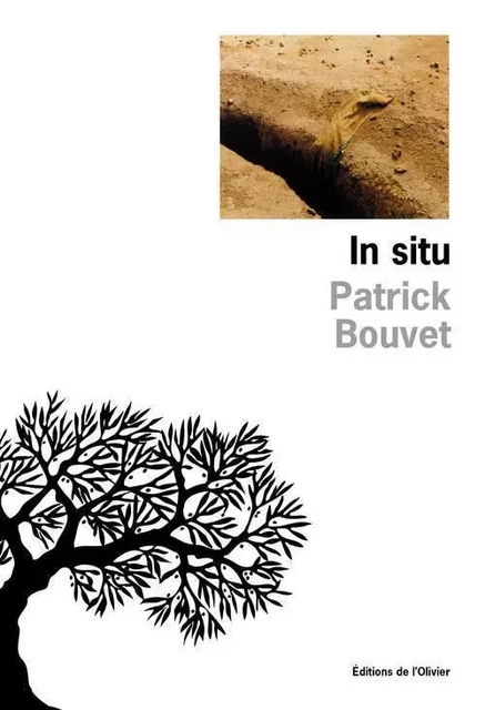 Littérature francaise (L'Olivier) In Situ - Patrick Bouvet - OLIVIER EDITIONS