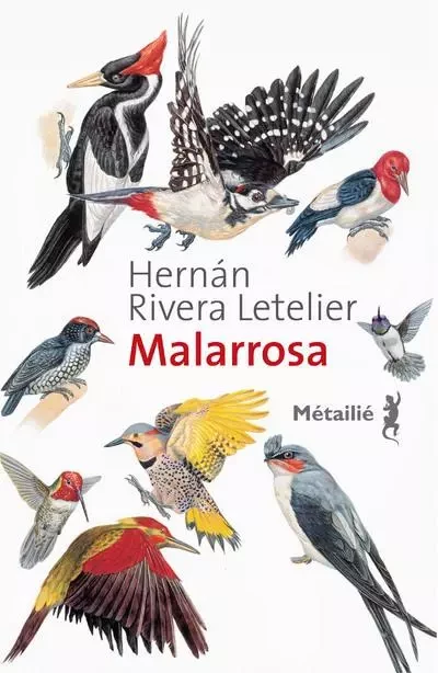 Bibliothèque hispano-américaine Malarrosa - Hernan Rivera Letelier - METAILIE EDITIONS