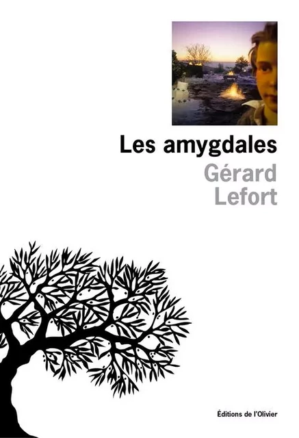 Littérature francaise (L'Olivier) Les Amygdales - Gérard Lefort - OLIVIER EDITIONS