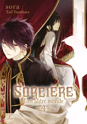 Sorcière d'un autre monde T04