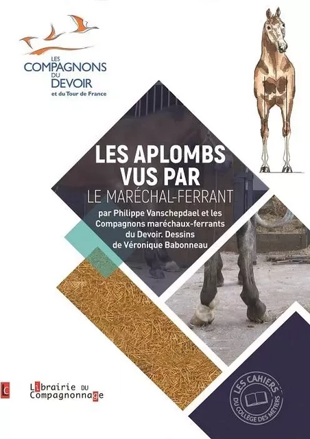 LES APLOMBS VUS PAR LE MARECHAL-FERRANT - VANSCHEPDAEL / CDD - COMPAGNONNAGE