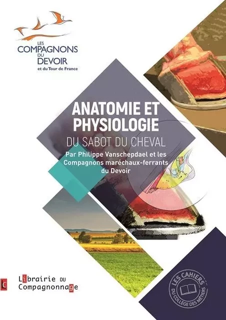 ANATOMIE ET PHYSIOLOGIE DU SABOT DU CHEVAL - philippe VANSCHEPDAEL,  Compagnons du Devoir - COMPAGNONNAGE