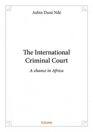 The international criminal court