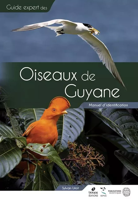 Oiseaux de Guyane Manuel d'identification - Sylvain URIOT - MNHN