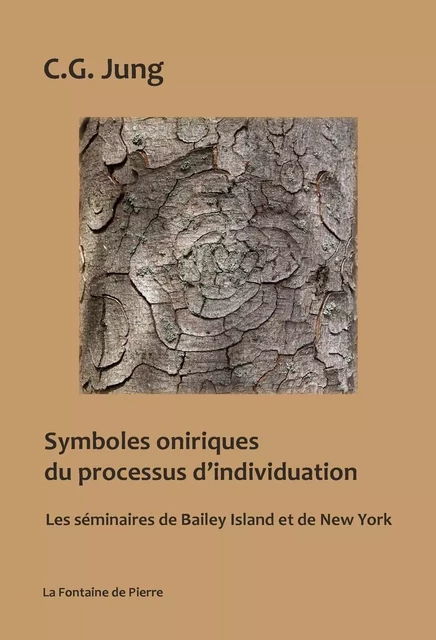 Symboles oniriques du processus d'individuation - Les séminaires de Bailey Island et de New-York - Carl Gustav Jung - FONTAINE DE PIERRE