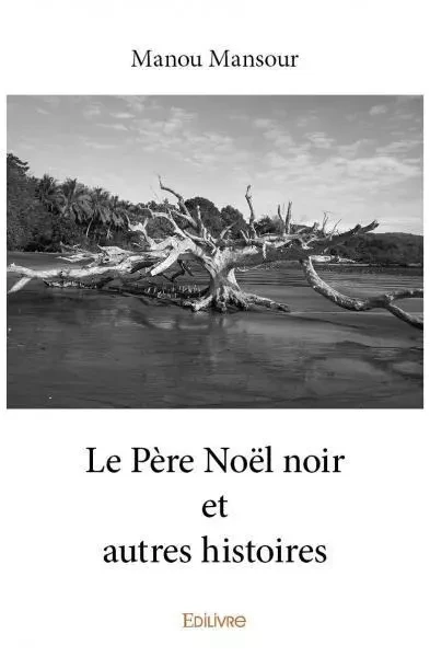 Le père noël noir et autres histoires - Manou Mansour - EDILIVRE