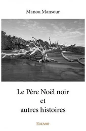 Le père noël noir et autres histoires